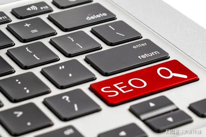 干货分析 2024做seo优化还有前途吗
