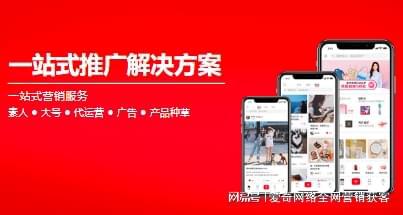 seo优化网站外包公司